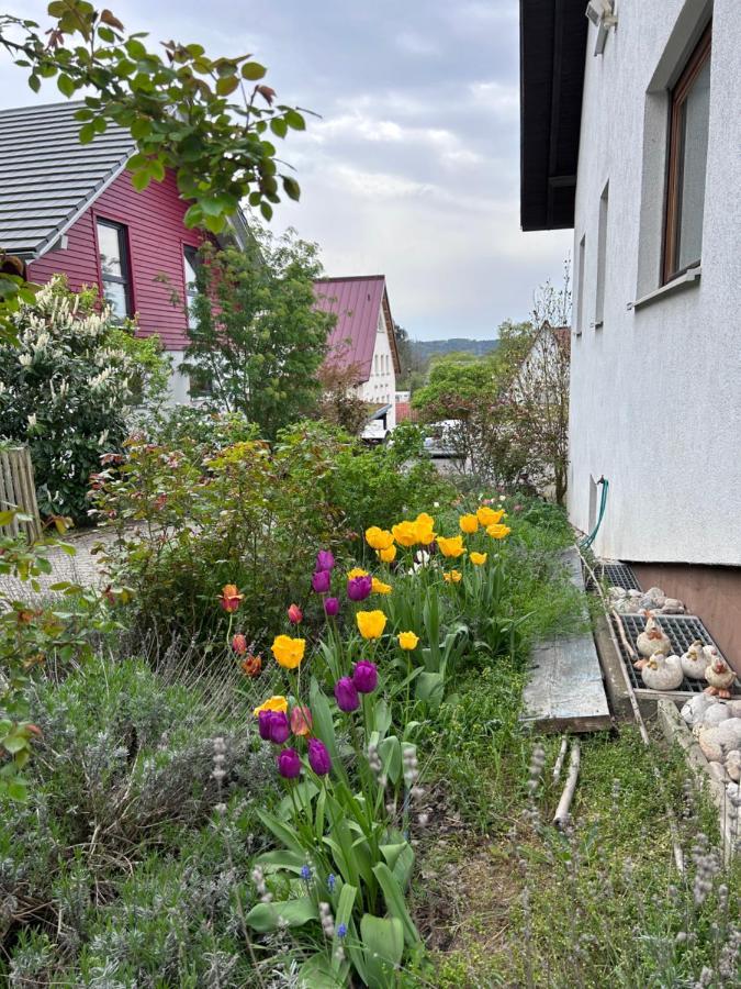 Fewo Michistrasse Forchheim  Eksteriør bilde